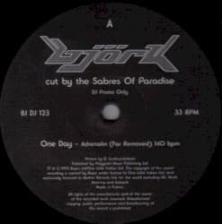 Björk Cut by the Sabres of Paradise