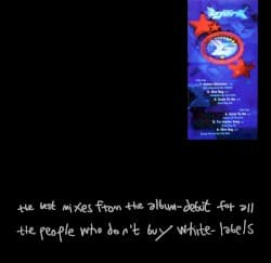 The Best Mixes From the Album – Debut for All the People Who Don’t Buy White‐Labels